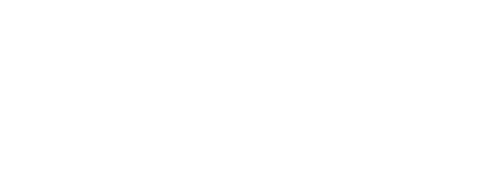 modoki